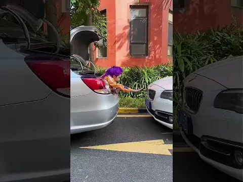 人工停车？