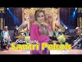 Download Lagu Santri Pekok - Intan Chacha | Bantengan Mberot