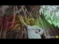 Jimmy Cliff - Roots Woman
