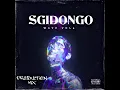 Download Lagu SGIDONGO WAVE VOL 4 | MARCH 2025 | 100% PRODUCTION MIX | Dj Micsir ●