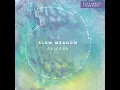You're A Guru (Slow Meadow Rework)