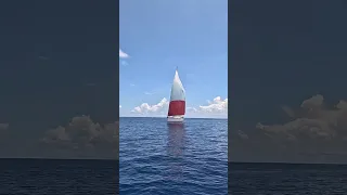 Have you seen PART 2 – Southwest pacific crossing?