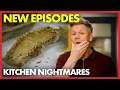 Lagu Gordon Was Served MOLDY Food? | NEW Season | Compilation | Kitchen Nightmares
