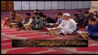 الكتاب الكبير سورة البقرة 4 الشيخ حسن سعيد السكندري 