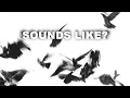 Download Lagu Sounds Like: Bird Wings