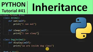 Python Tutorial - Inheritance in Python Programming for Beginners
