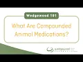 What are compounded animal medications