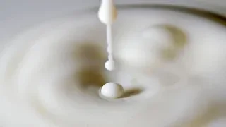 USHAWAHI KUKOJOZWA JIFUNZE HAPA  USHAWAHI KUKOJOZWA JIFUNZE HAPA