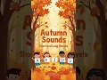Autumn Sounds - Short and Long Vowels Fall Phonics Activities for Grades K 3