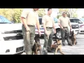 VPD K-9 Unit