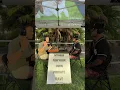 Download Lagu When someone asks what the meaning of life is, send them this video..