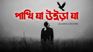 Pakhi Ja Uira Ja | Lofi Remix | পাখি যা উইড়া যা | Adnan Kabir | Bangla New Lofi Song 2026