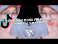 Download Lagu DJ Ring Ding Dong Viral TikTok 2022 (Bluesky Asia Remix)