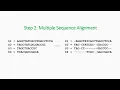 Results of Multiple Sequence Alignment