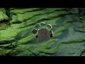 Tigerblind - Wildstyle ( Offical Video Visualizer)