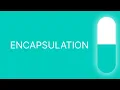 Encapsulation in Python Explained Python OOP in Tamil NagulCodeZ