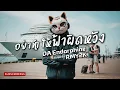 อย่าทําให้ฟ้าผิดหวัง - DA Endorphine (Cover by RMY2K)