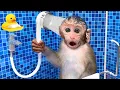 Download Lagu Monkey Baby Bon Bon Bathing In The Bathroom With Eating Fruit With Ducklings Side Swimming Pool