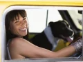 Download Lagu Lobo - Me and you and a dog named Boo - Lobo