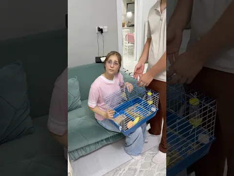 Yeni tavşana veda 🥲