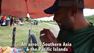 Daawo Qaadka Dalalka Qaar Iyo Sida Loocuno Iyo Wariye Somaliland Barbardhigey  Daawo Qaadka Dalalka Qaar Iyo Sida Loocuno Iyo Wariye Somaliland Barbardhigey