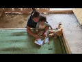 Download Lagu Mother Teaches Her Child How to Color and Get Familiar with Animals – Taking Care of Pigs