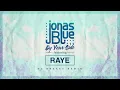 Jonas Blue - By Your Side ft. RAYE (DC Breaks Remix - Official Audio)