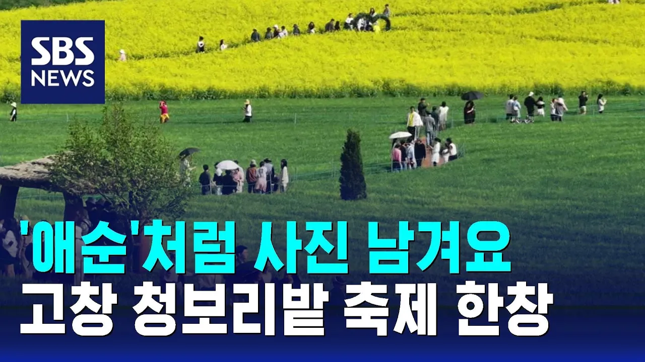 관련 영상 썸네일