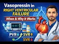 Vasopressin in Right Ventricular Failure When Why It Works ICU Guide