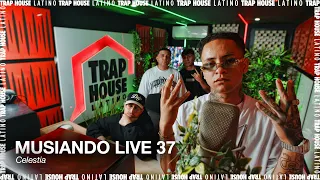 MUSIANDO LIVE 37 | CELESTIA