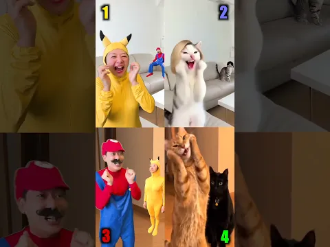 Crazy Laughter 😂 | Look at the Dog & Cat VS Super Mario Brothers! 🐶🐱🤣 #humor #funny #memes