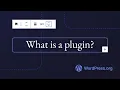 What is a plugin
