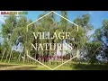 Download Lagu Sound of nature | Beautiful Birds Singing |INDIAN village life |