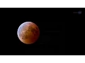ScienceCasts Total Eclipse of the Moon