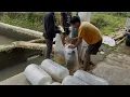 Download Lagu PROSES PACKING IKAN MAS JUMBO SIAP MELUNCUR KE PEMANCINGAN BHS SUMEDANG