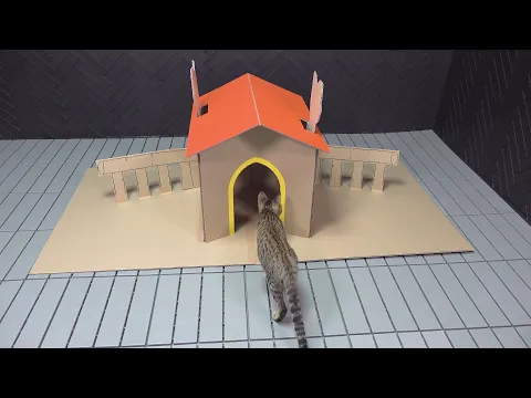 pop up book CAT House