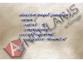 Embedding html template using custom directive in AngularJS