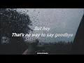 Pool Song - Lea Porcelain (Lyrics)