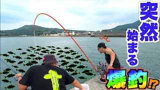 静かな海に突然の魚群が！？