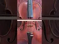 Strings of the violin