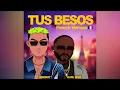 Karl Wine & Freebot - Tus Besos (French Version)