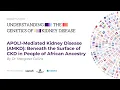 Download Lagu APOL1-Mediated Kidney Disease(AMKD): Beneath the Surface of CKD in People of African Ancestry