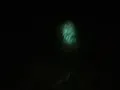 Download Lagu Cari burung puyuh ketemu hantu