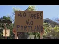 Forest Park conservationists rally to appeal PGE s upcoming 5-acre tree removal