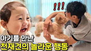 말도 안돼.. 믿었던 천재견 토리가 보인 뜻밖의 행동 