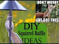DIY Squirrel Baffle Ideas