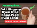 Download Lagu MINUMAN AMPUH ! - Atasi Nyeri Sendi , Nyeri Pinggang , Nyeri Otot Pegal Pegal Sembuh Dalam 10 Menit