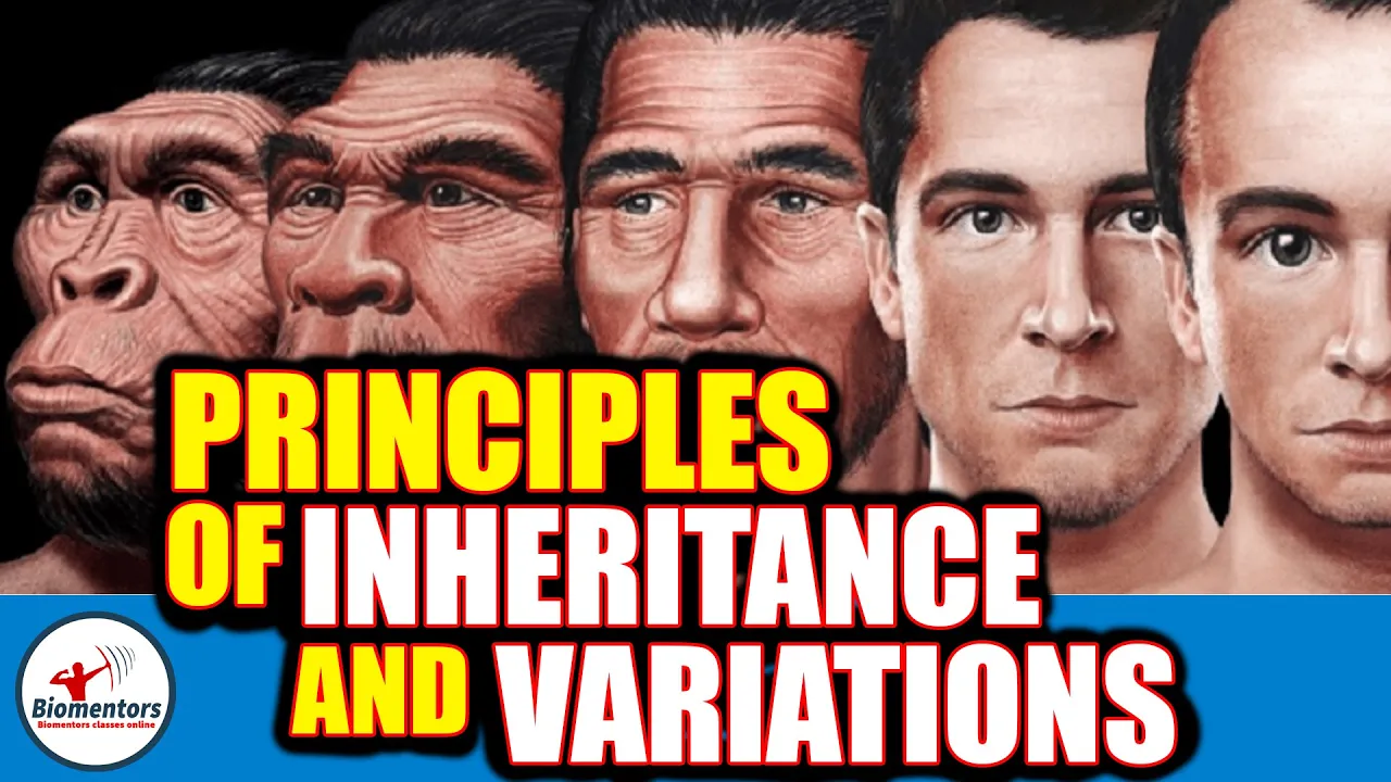 Principles Of Inheritance & Variations l Lecture 16 & 17 l Biology l NEET
