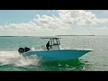 Meet Sea Cat 262 Hybrid
