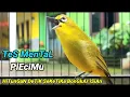Download Lagu Buktikan Tes Mental PleciMU Dalam hitungan menit Pasti pleci di Rumah bakal Langsung bongkar isian